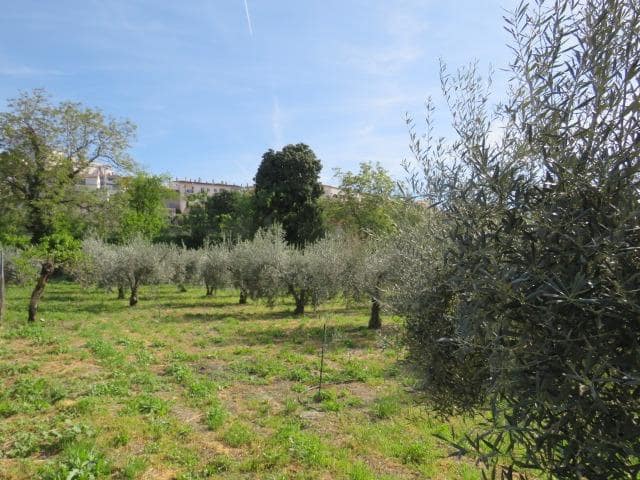 Undeveloped Land for sale in Cenes de la Vega - € 88,000 (Ref: 10014036)