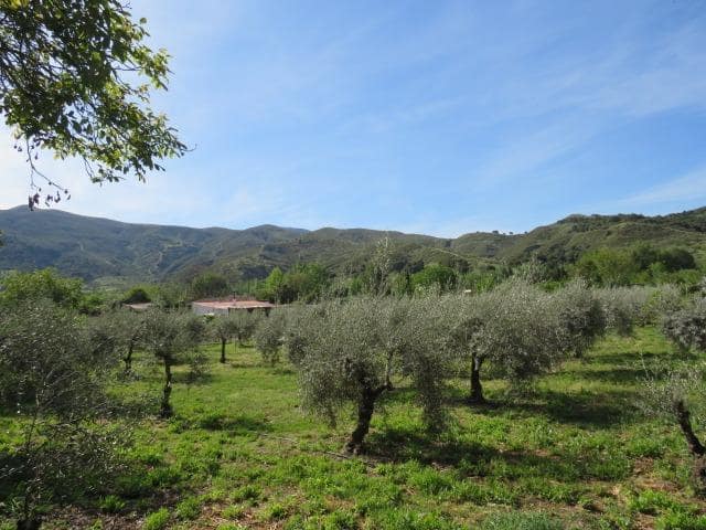Undeveloped Land for sale in Cenes de la Vega - € 88,000 (Ref: 10014036)
