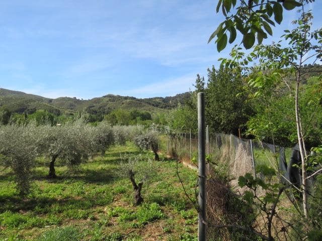 Undeveloped Land for sale in Cenes de la Vega - € 88,000 (Ref: 10014036)