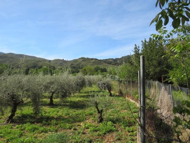 Undeveloped Land for sale in Cenes de la Vega - € 88,000 (Ref: 10014036)