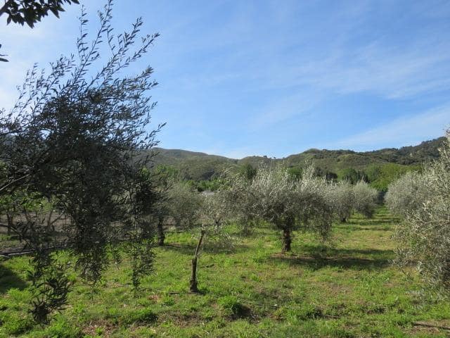 Undeveloped Land for sale in Cenes de la Vega - € 88,000 (Ref: 10014036)