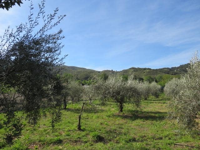 Undeveloped Land for sale in Cenes de la Vega - € 88,000 (Ref: 10014036)