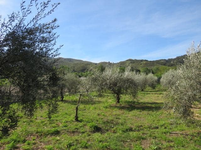 Undeveloped Land for sale in Cenes de la Vega - € 88,000 (Ref: 10014036)