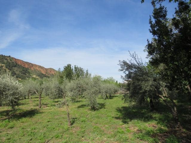 Undeveloped Land for sale in Cenes de la Vega - € 88,000 (Ref: 10014036)