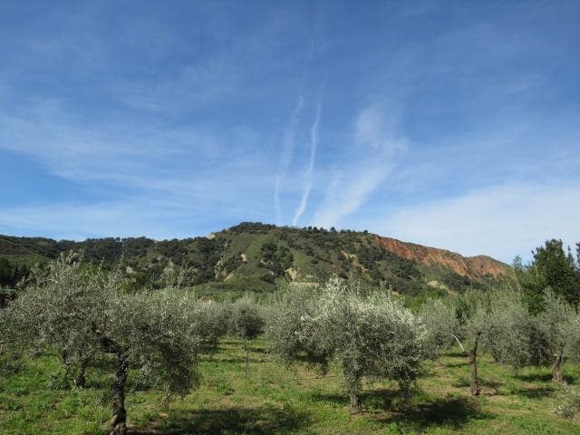 Undeveloped Land for sale in Cenes de la Vega - € 88,000 (Ref: 10014036)