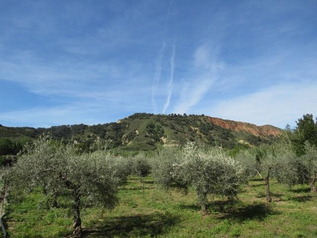 Undeveloped Land for sale in Cenes de la Vega - € 88,000 (Ref: 10014036)