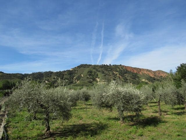 Undeveloped Land for sale in Cenes de la Vega - € 88,000 (Ref: 10014036)