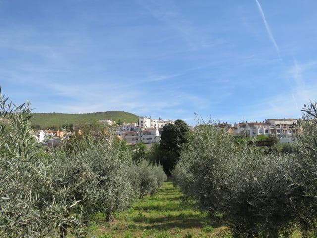 Undeveloped Land for sale in Cenes de la Vega - € 88,000 (Ref: 10014036)