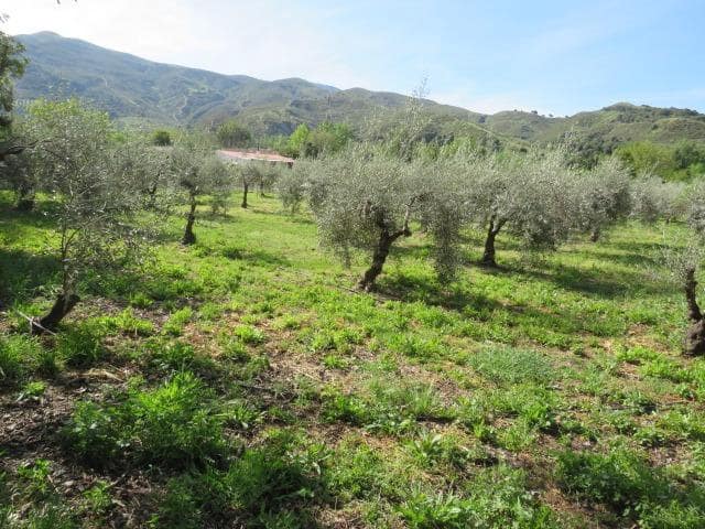 Undeveloped Land for sale in Cenes de la Vega - € 88,000 (Ref: 10014036)