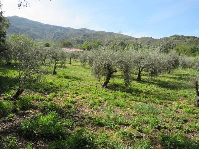 Undeveloped Land for sale in Cenes de la Vega - € 88,000 (Ref: 10014036)