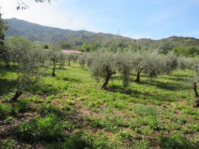 Undeveloped Land for sale in Cenes de la Vega - € 88,000 (Ref: 10014036)