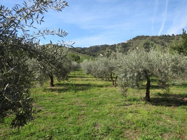 Undeveloped Land for sale in Cenes de la Vega - € 88,000 (Ref: 10014036)