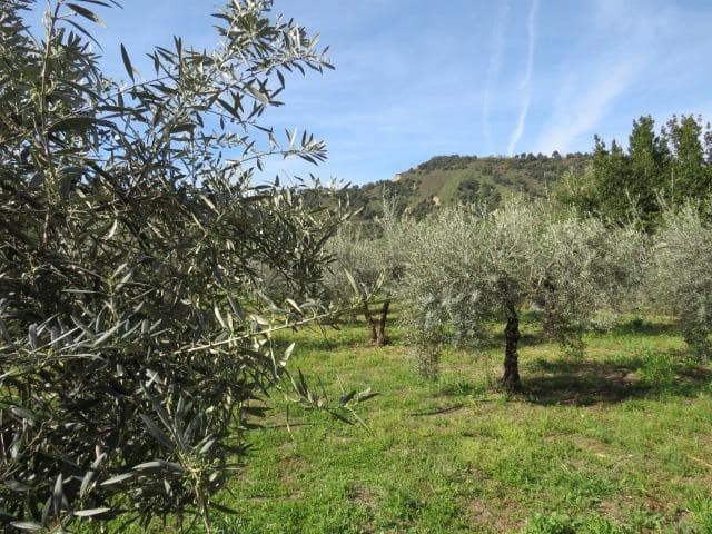 Undeveloped Land for sale in Cenes de la Vega - € 88,000 (Ref: 10014036)