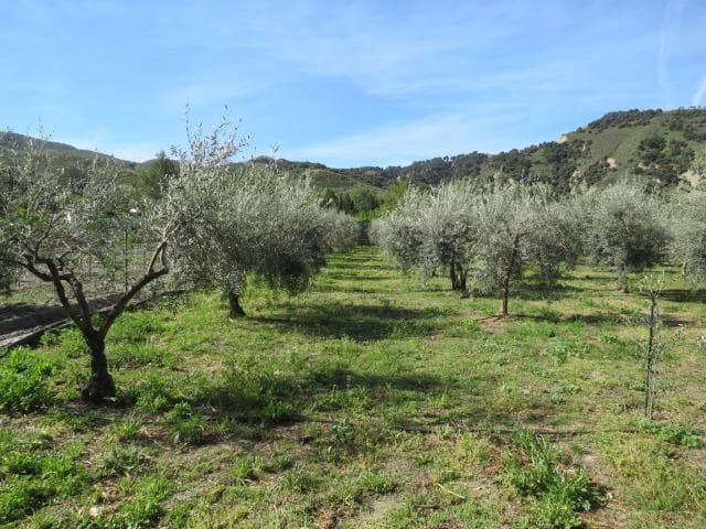Undeveloped Land for sale in Cenes de la Vega - € 88,000 (Ref: 10014036)