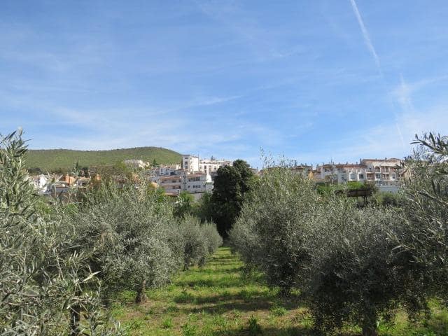 Undeveloped Land for sale in Cenes de la Vega - € 88,000 (Ref: 10014036)