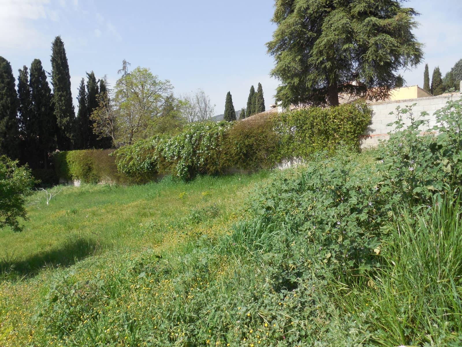 Area Edificabile in vendita in Albolote - 269.000 € (Rif: 10014038)