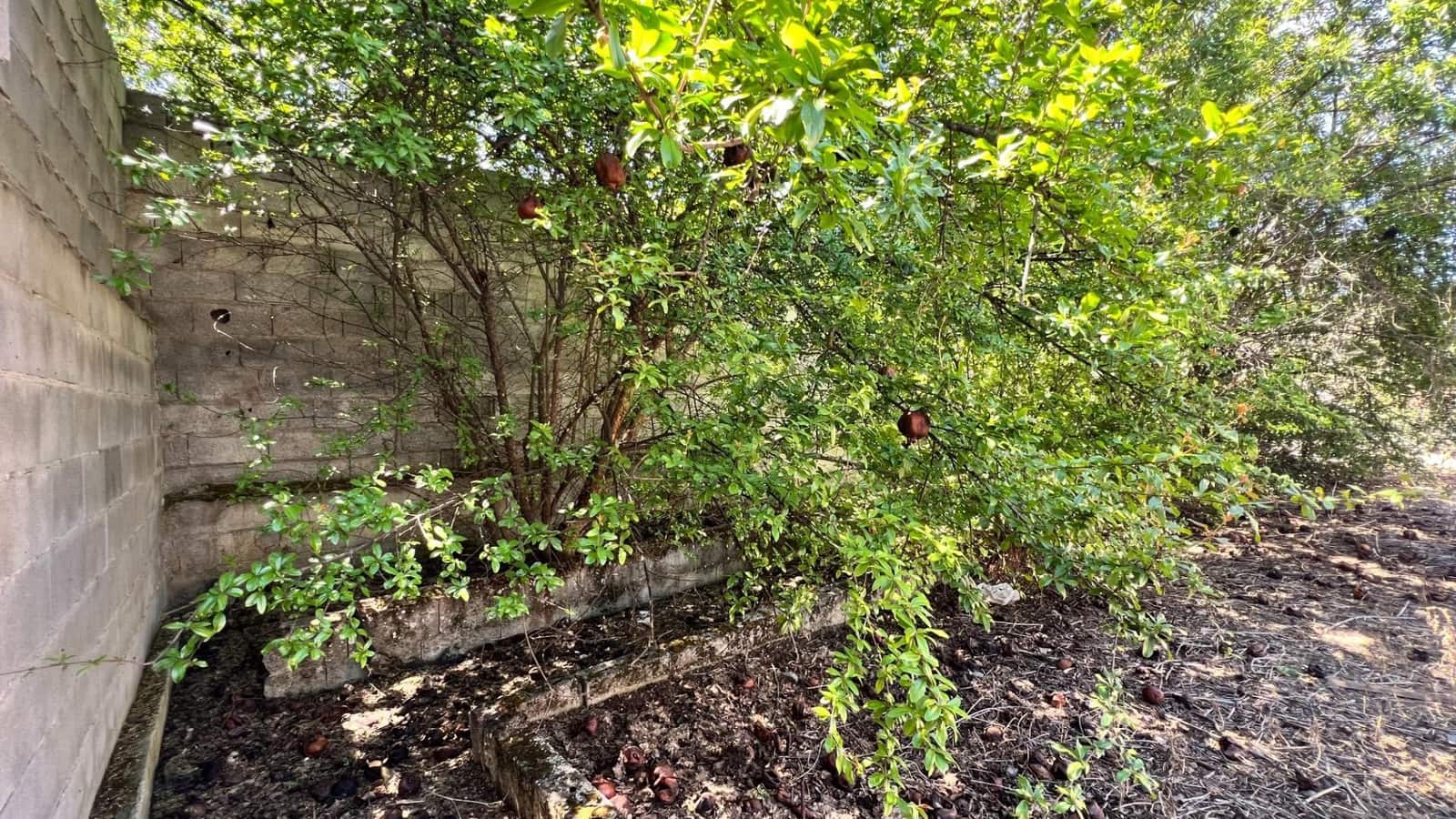 Building Plot for sale in Cijuela - € 87,000 (Ref: 10014057)