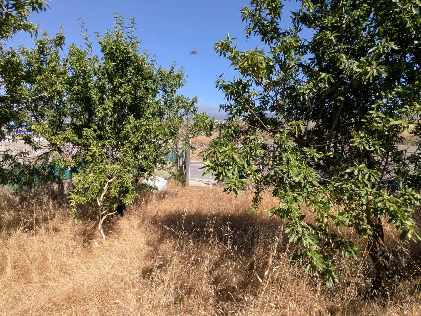 Building Plot for sale in Alhendin - € 84,950 (Ref: 10014058)