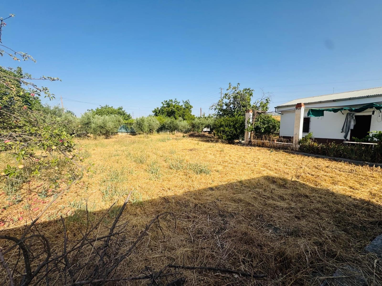 Ubebygd land til salgs i Granada by - € 196 000 (Ref: 10014080)