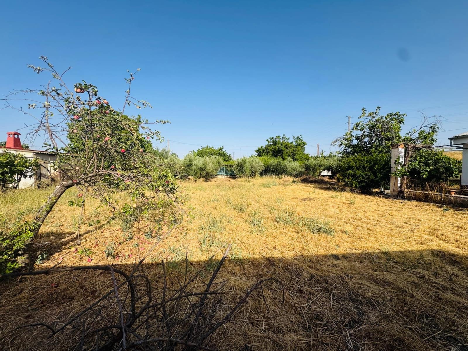 Ubebygd land til salgs i Granada by - € 196 000 (Ref: 10014080)