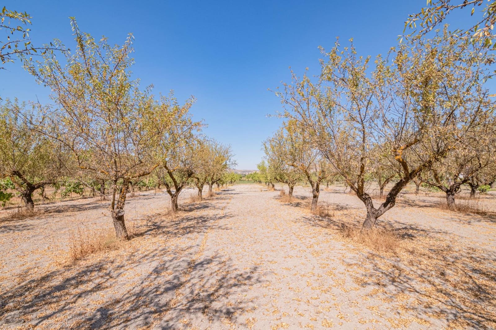 Finca/Casa Rural de 1 habitación en Dúrcal en venta - 190.000 € (Ref: 10089753)
