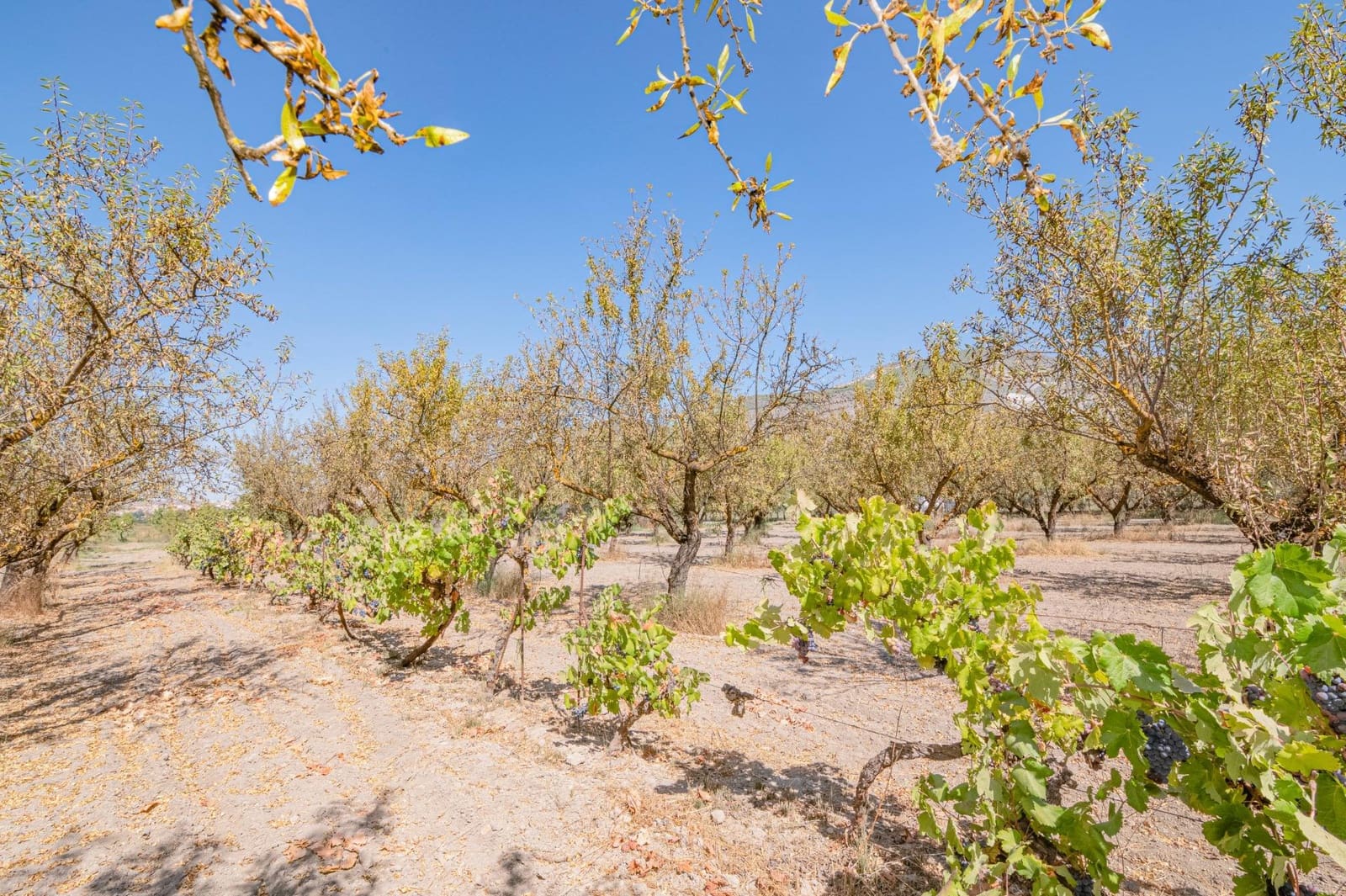 Finca/Casa Rural de 1 habitación en Dúrcal en venta - 190.000 € (Ref: 10089753)