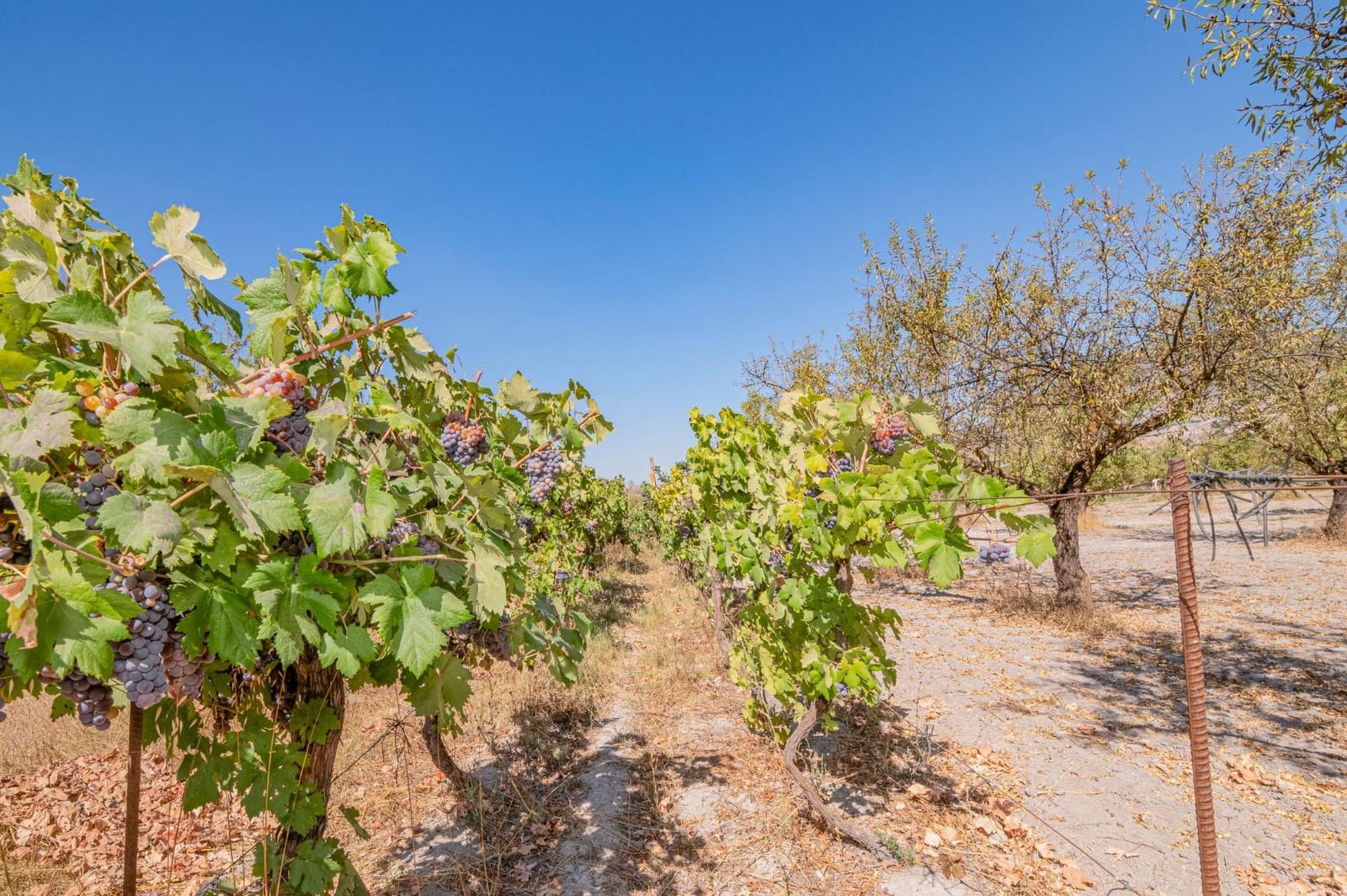 Finca/Casa Rural de 1 habitación en Dúrcal en venta - 190.000 € (Ref: 10089753)