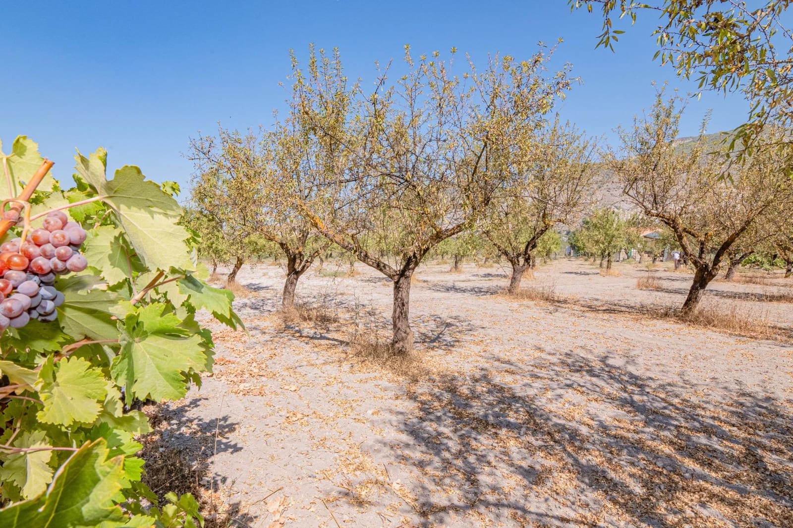 Finca/Casa Rural de 1 habitación en Dúrcal en venta - 190.000 € (Ref: 10089753)