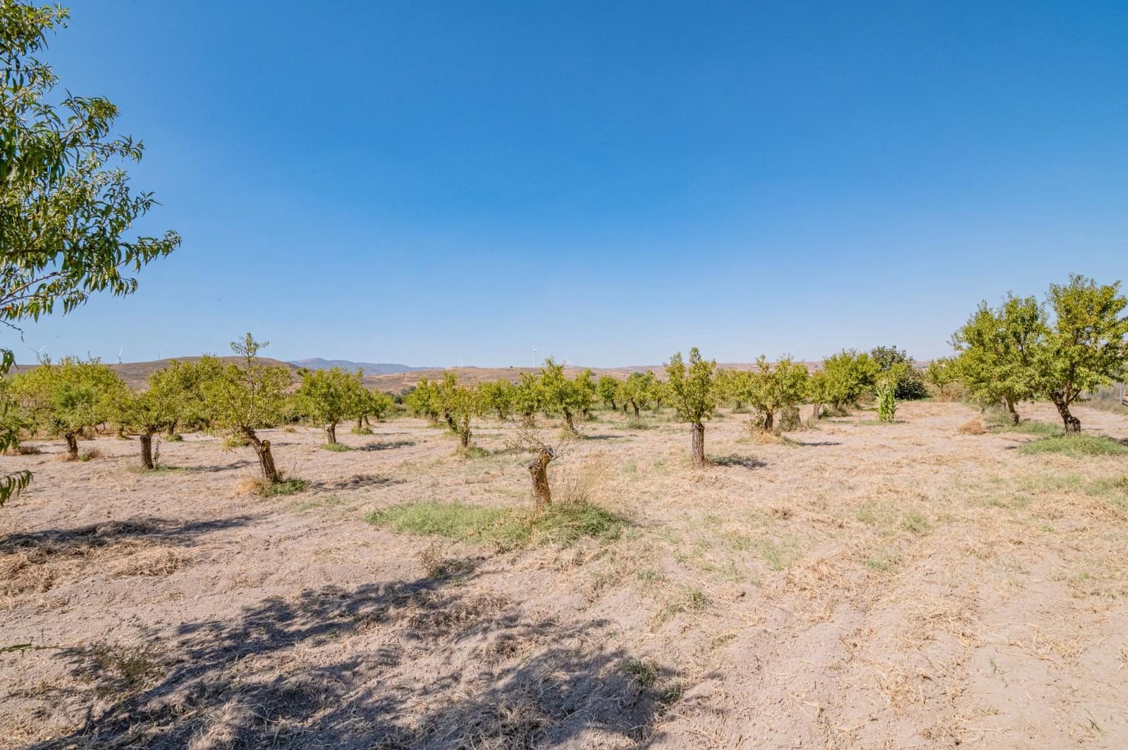 Finca/Casa Rural de 1 habitación en Dúrcal en venta - 190.000 € (Ref: 10089753)