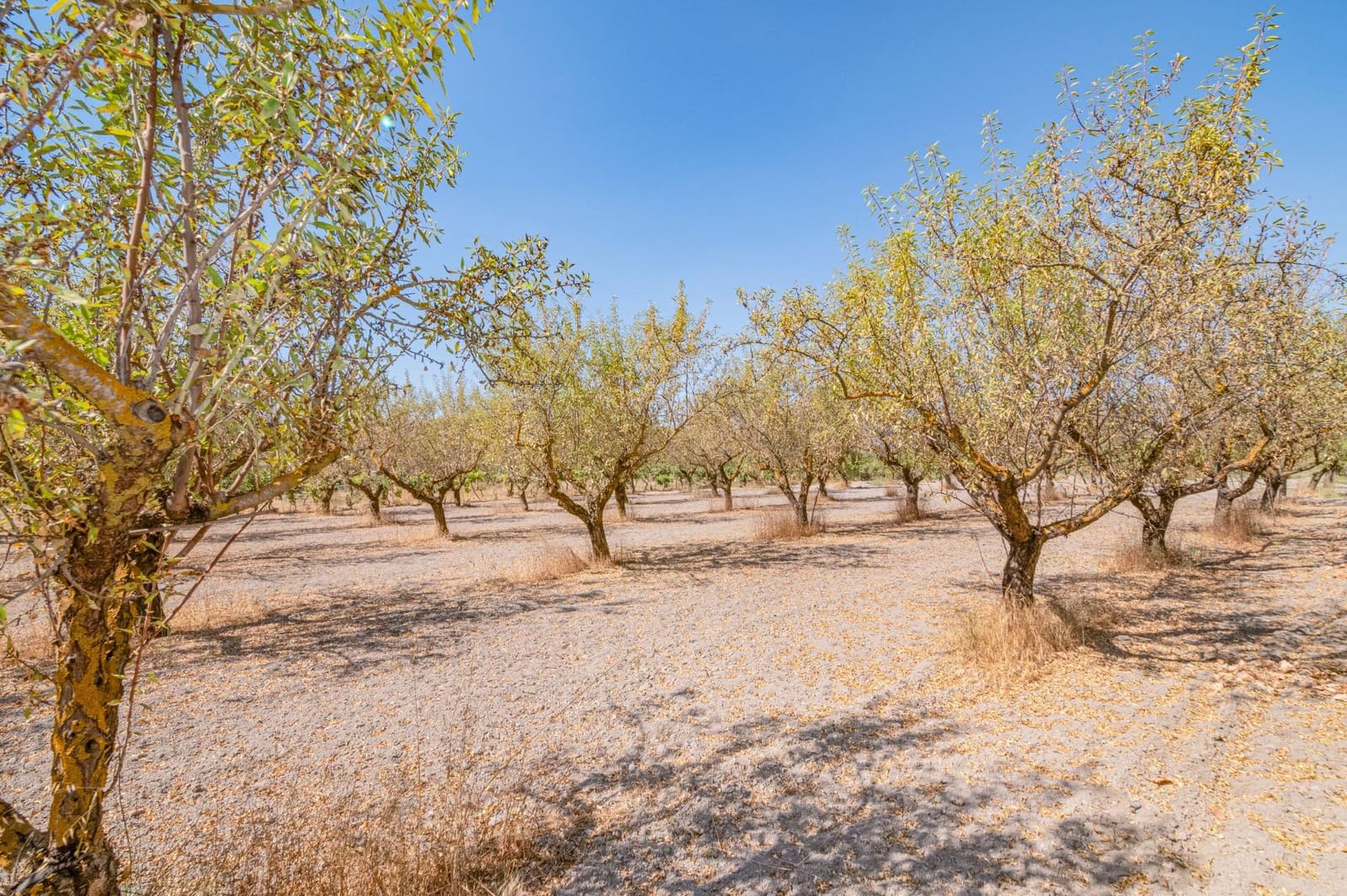 Finca/Casa Rural de 1 habitación en Dúrcal en venta - 190.000 € (Ref: 10089753)