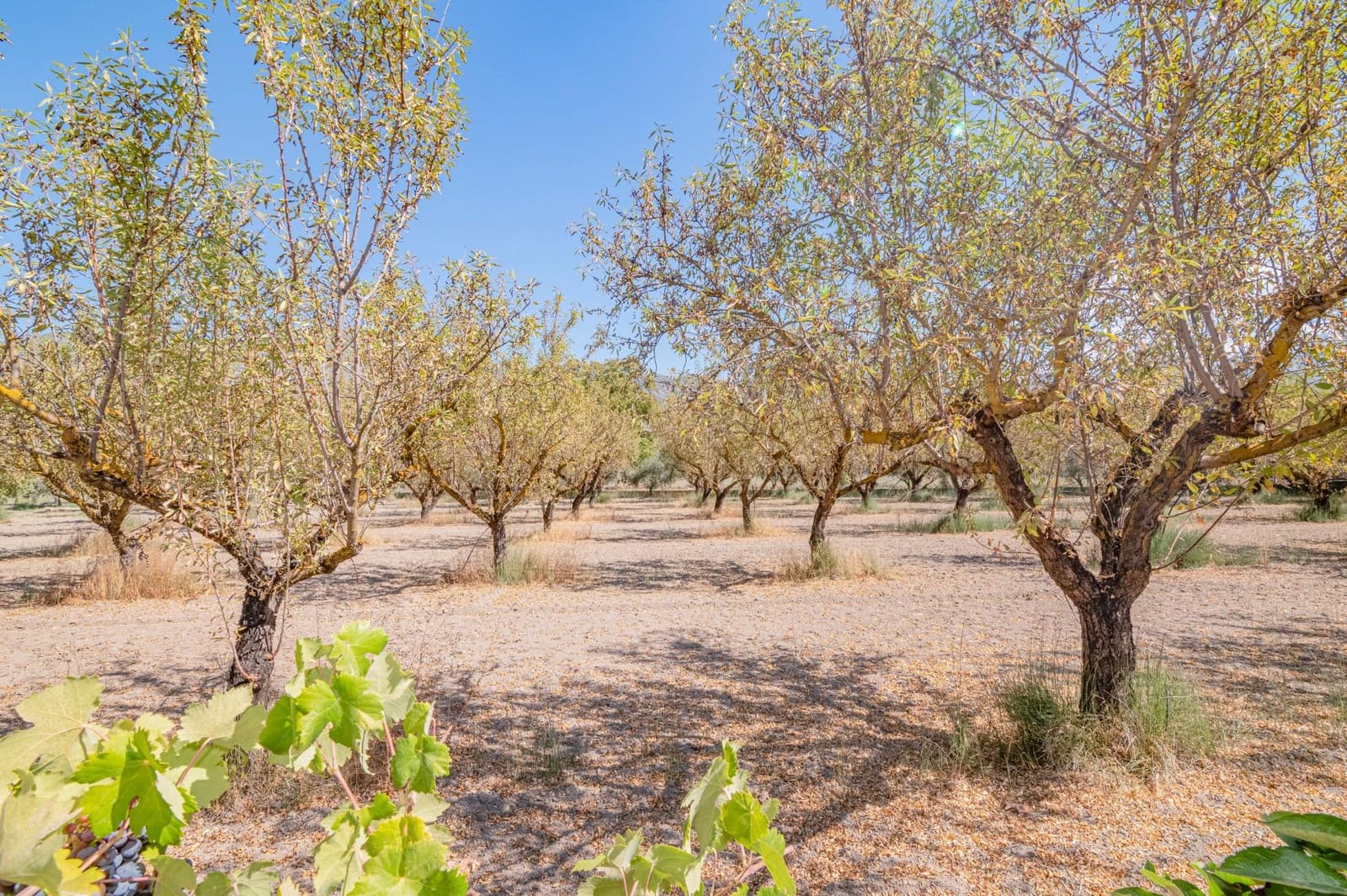 Finca/Casa Rural de 1 habitación en Dúrcal en venta - 190.000 € (Ref: 10089753)