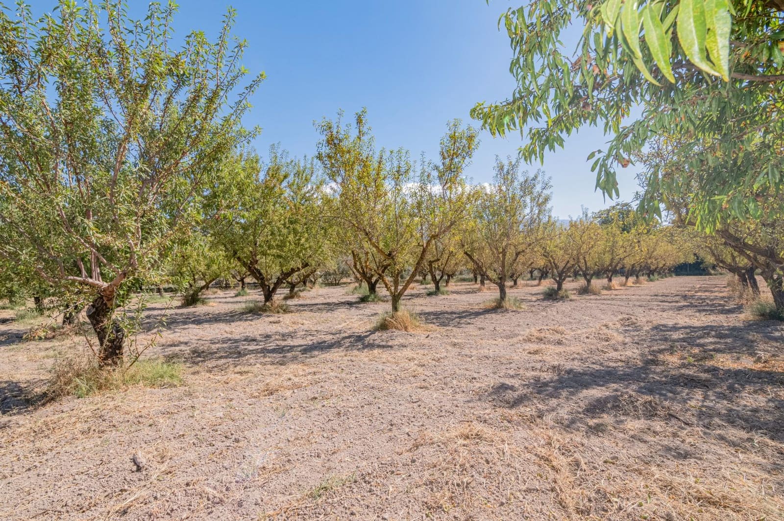 Finca/Casa Rural de 1 habitación en Dúrcal en venta - 190.000 € (Ref: 10089753)