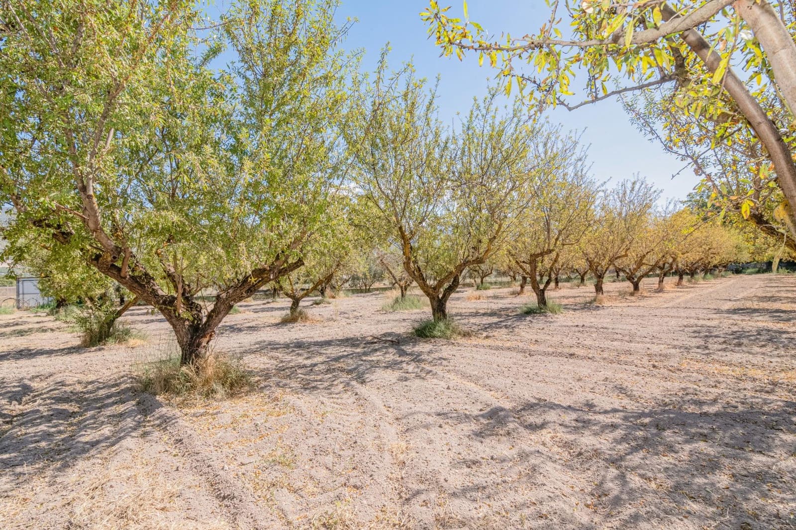 Finca/Casa Rural de 1 habitación en Dúrcal en venta - 190.000 € (Ref: 10089753)