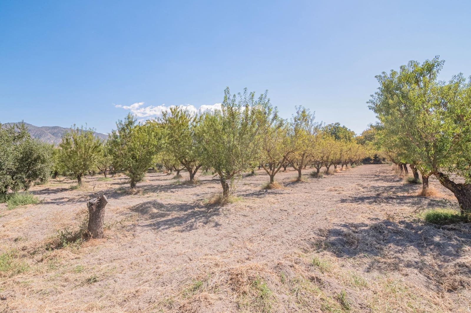 Finca/Casa Rural de 1 habitación en Dúrcal en venta - 190.000 € (Ref: 10089753)