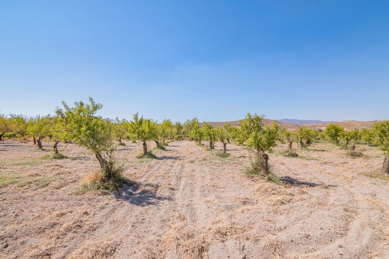 Finca/Casa Rural de 1 habitación en Dúrcal en venta - 190.000 € (Ref: 10089753)
