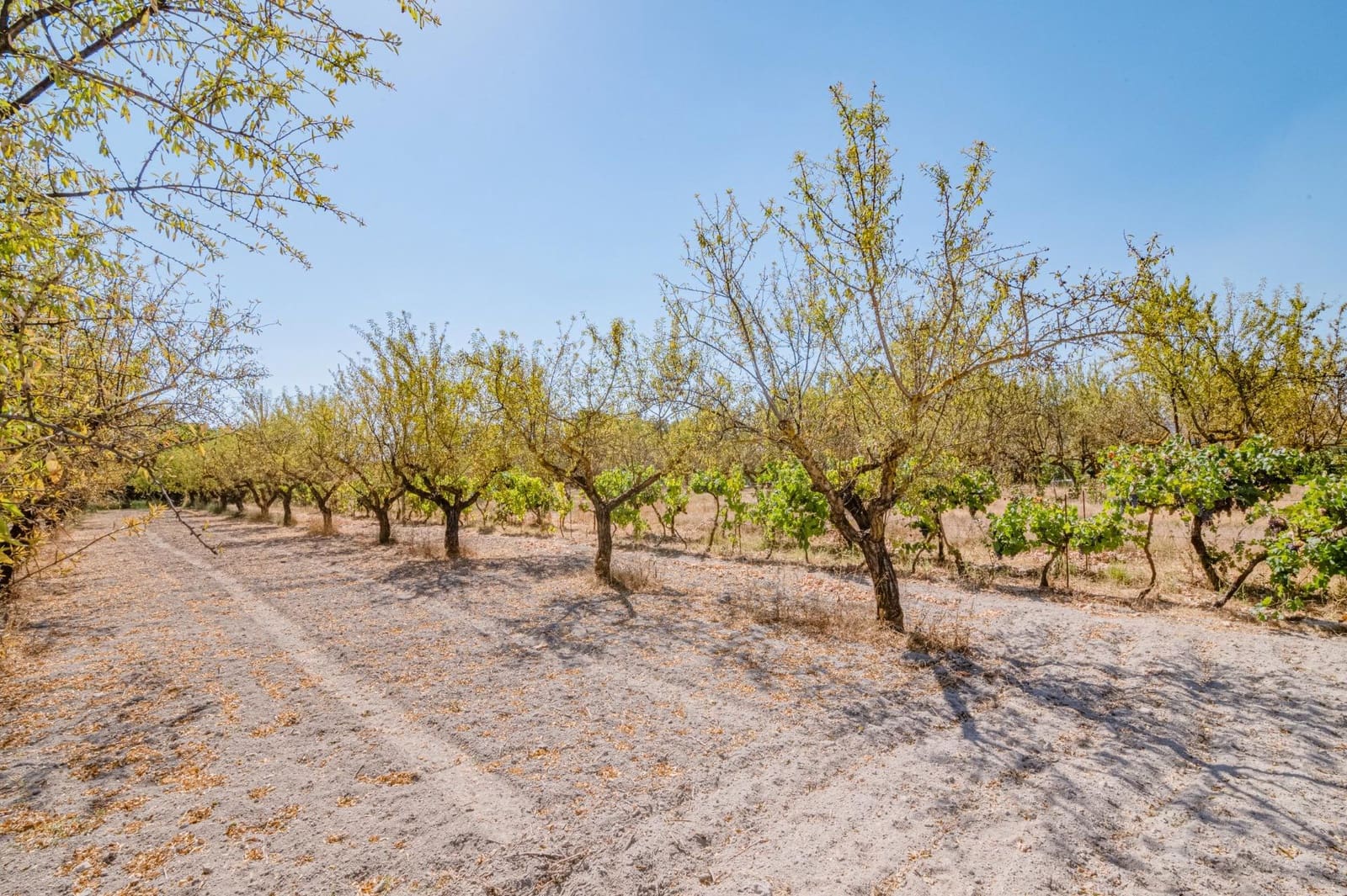Finca/Casa Rural de 1 habitación en Dúrcal en venta - 190.000 € (Ref: 10089753)