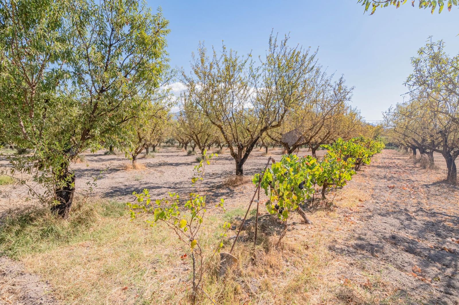 Finca/Casa Rural de 1 habitación en Dúrcal en venta - 190.000 € (Ref: 10089753)