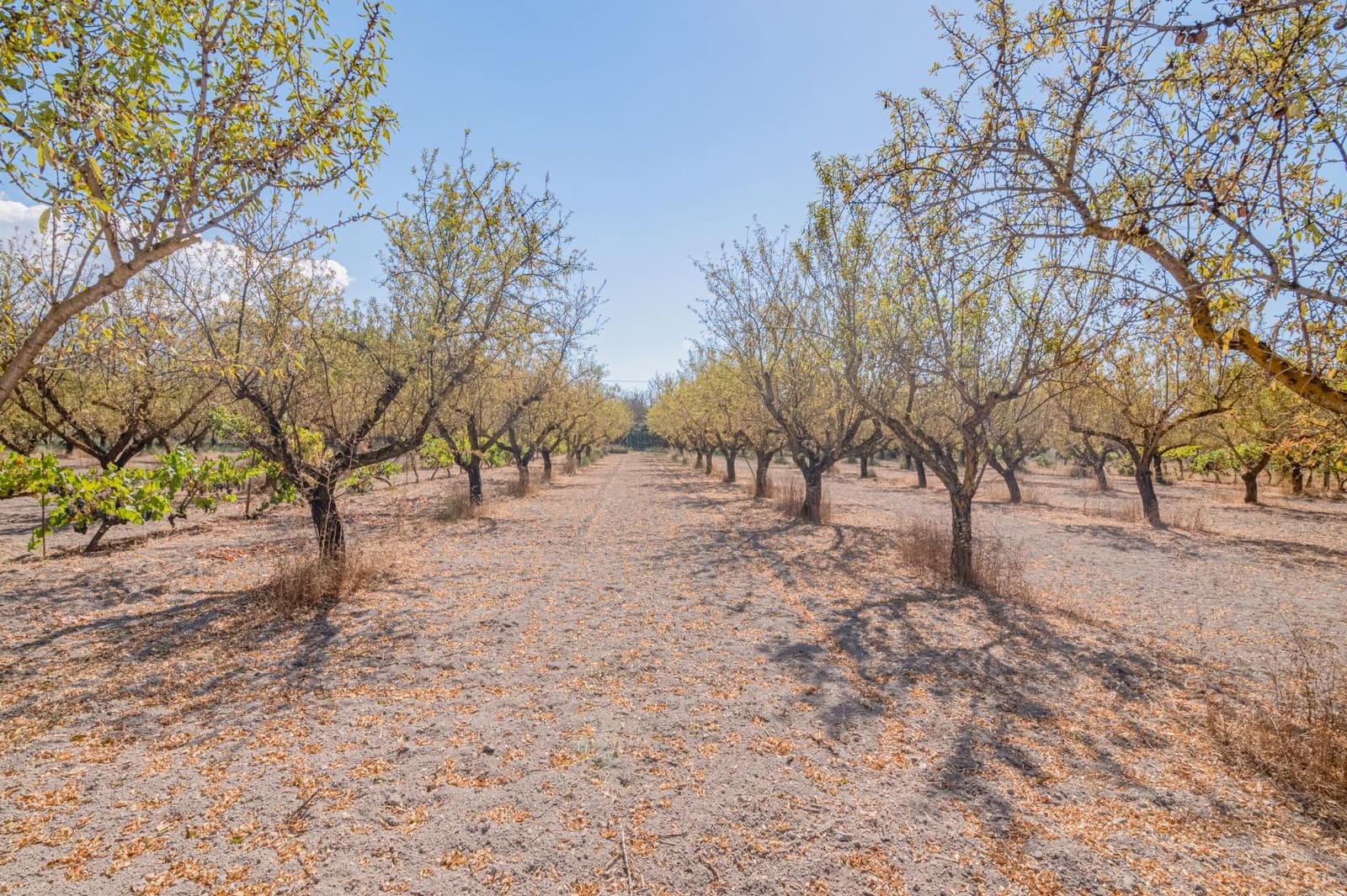 Finca/Casa Rural de 1 habitación en Dúrcal en venta - 190.000 € (Ref: 10089753)