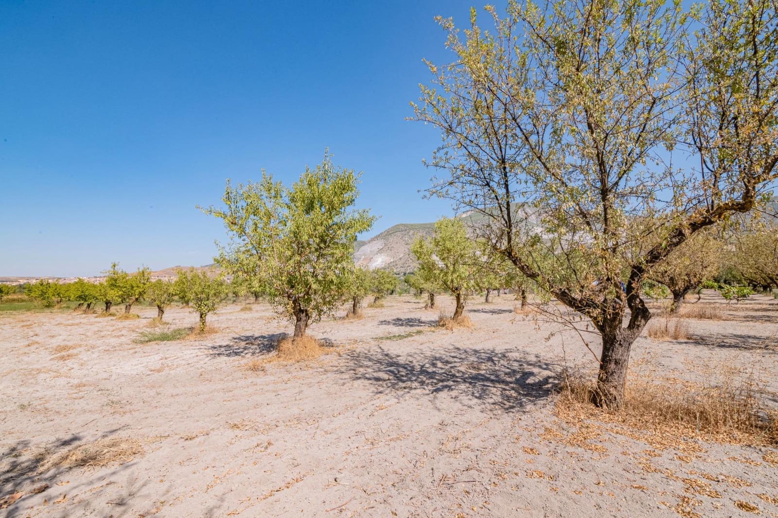 Finca/Casa Rural de 1 habitación en Dúrcal en venta - 190.000 € (Ref: 10089753)