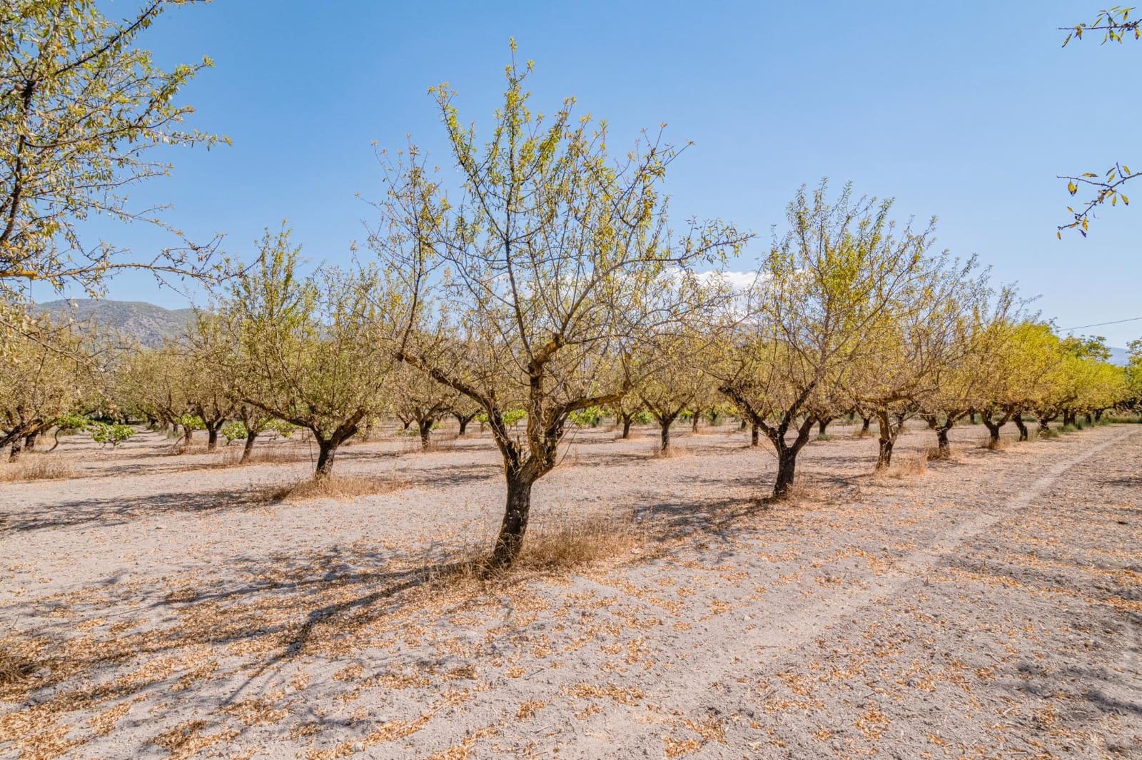 Finca/Casa Rural de 1 habitación en Dúrcal en venta - 190.000 € (Ref: 10089753)
