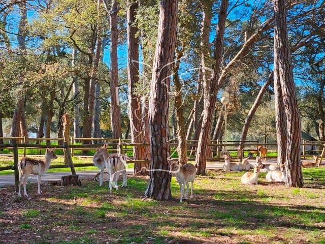 5 bedroom Finca/Country House for sale in Caldes de Malavella with pool garage - € 875,000 (Ref: 9128650)
