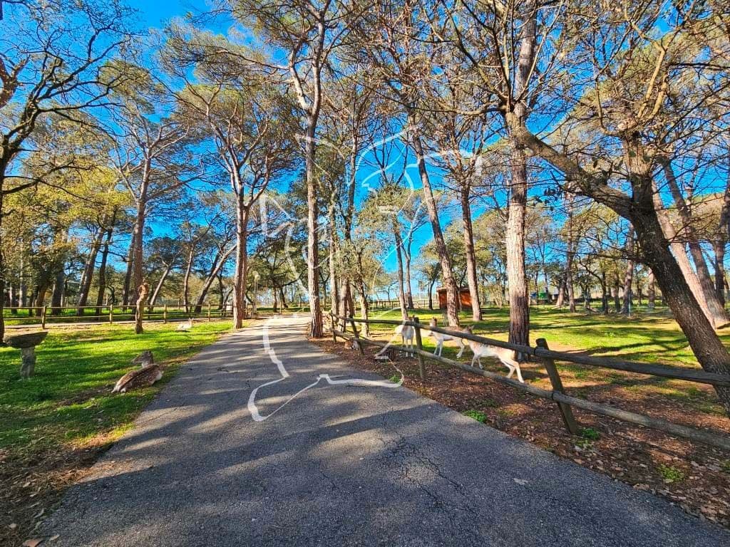 5 soverom Finca/Herregård til salgs i Caldes de Malavella med svømmebasseng garasje - € 875 000 (Ref: 9128650)