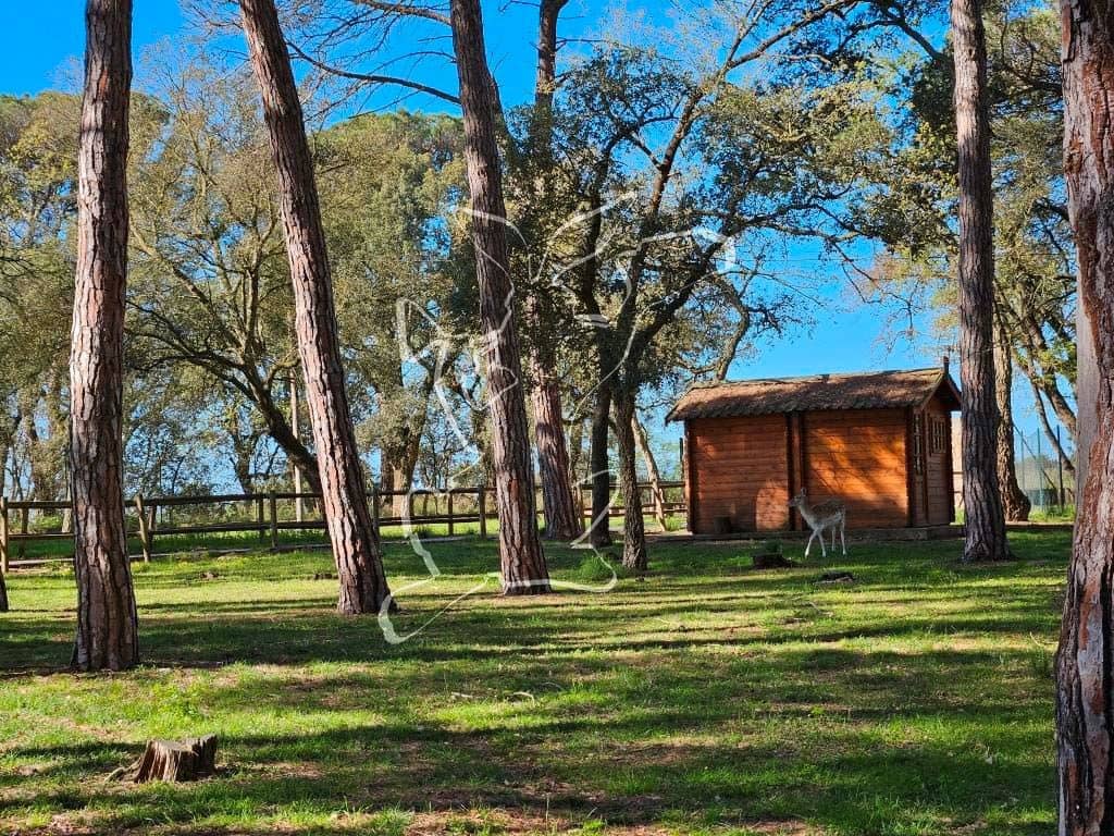 5 soverom Finca/Herregård til salgs i Caldes de Malavella med svømmebasseng garasje - € 875 000 (Ref: 9128650)