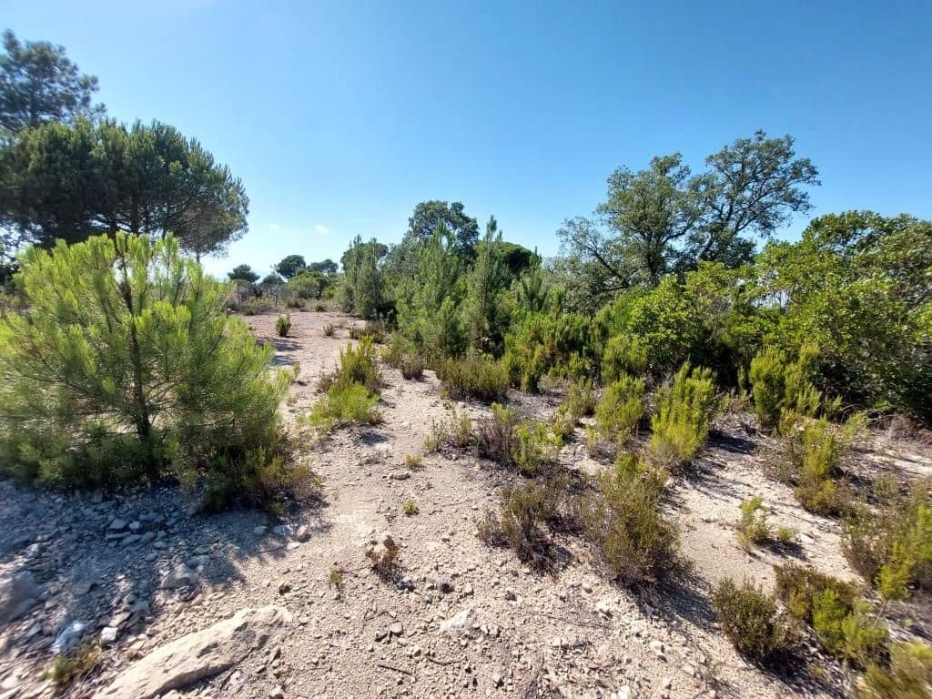 Tomt till salu i Lloret de Mar - 80 000 € (Ref: 9128652)