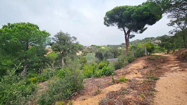 Bauplatz zu verkaufen in Urbanitzacions del Nord, Lloret de Mar - 55.000 € (Ref: 9128659)