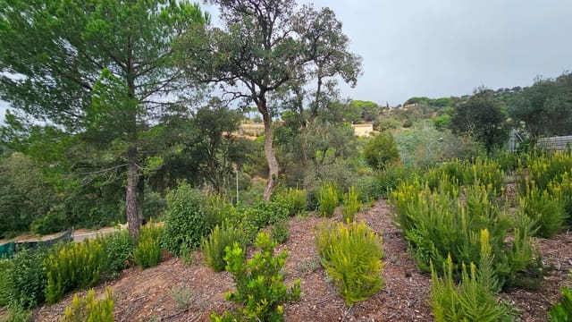 Bauplatz zu verkaufen in Urbanitzacions del Nord, Lloret de Mar - 55.000 € (Ref: 9128659)