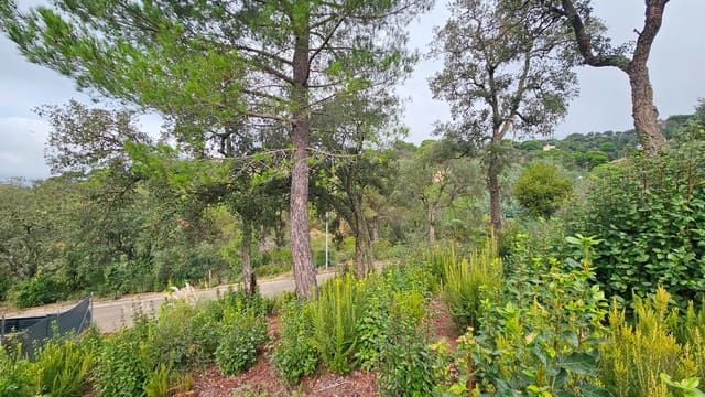 Bauplatz zu verkaufen in Urbanitzacions del Nord, Lloret de Mar - 55.000 € (Ref: 9128659)