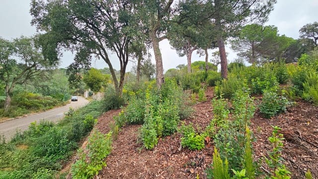 Bauplatz zu verkaufen in Urbanitzacions del Nord, Lloret de Mar - 55.000 € (Ref: 9128659)