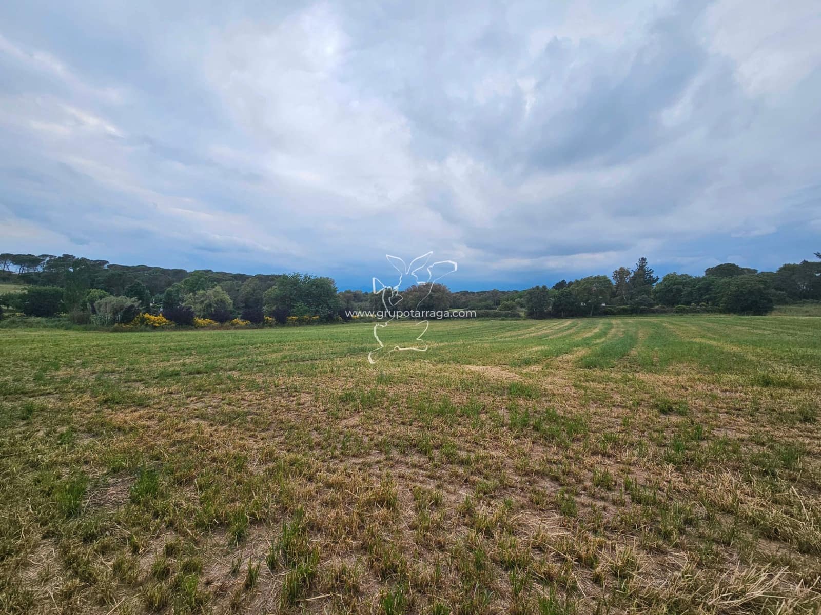 3 soveværelse Finca/Landehus til salg i Macanet de la Selva - € 300.000 (Ref: 9128662)