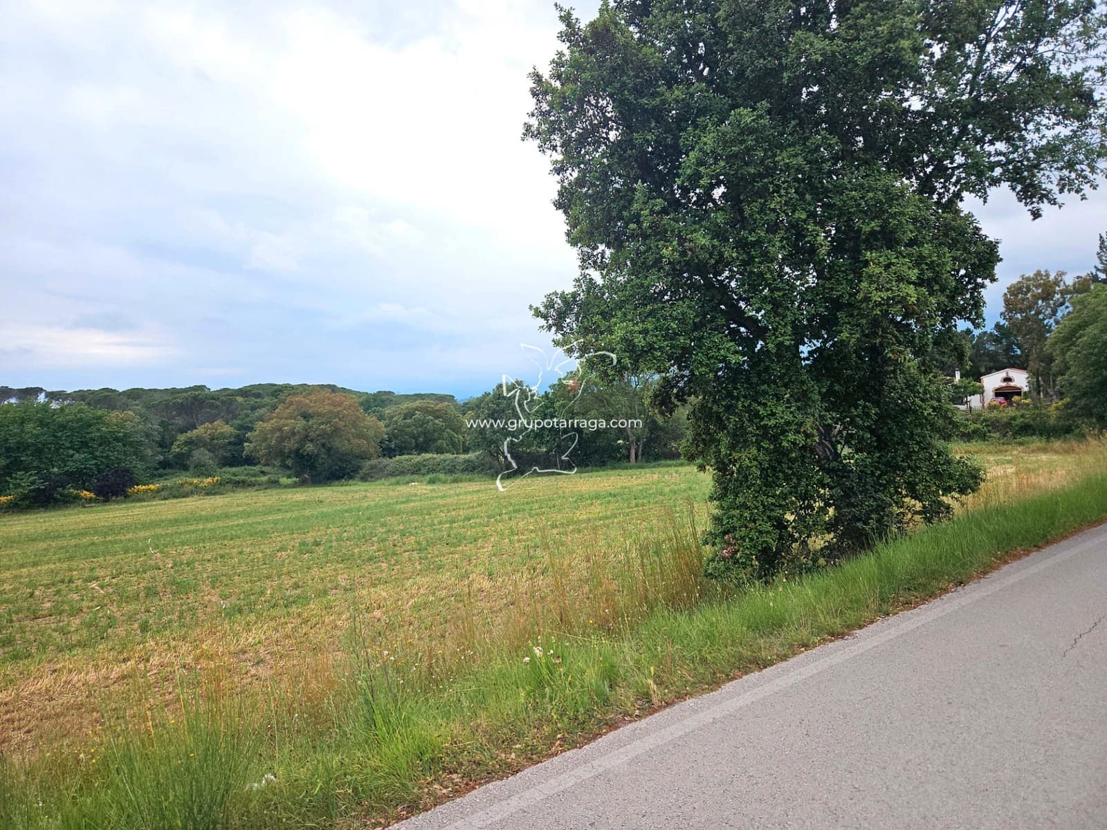 3 soveværelse Finca/Landehus til salg i Macanet de la Selva - € 300.000 (Ref: 9128662)